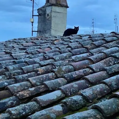 Lejlighed Viola 27 *