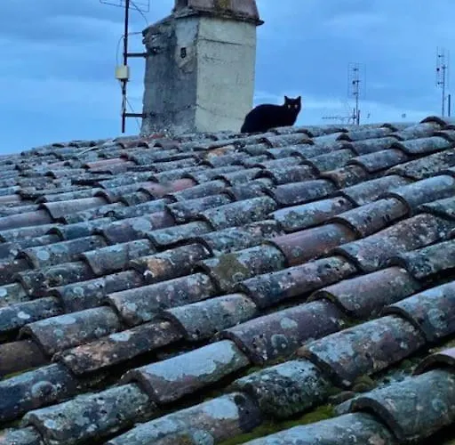 Lejlighed Viola 27 *