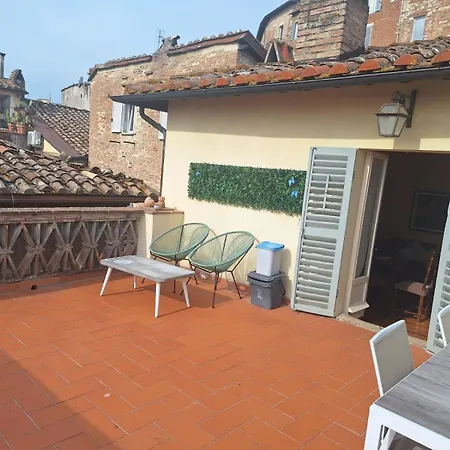 Viola 27 Perugia